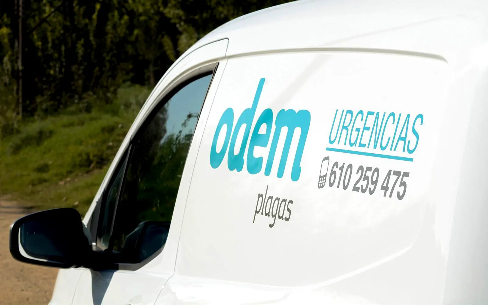 Fumigar mosquitos en Premià de Dalt