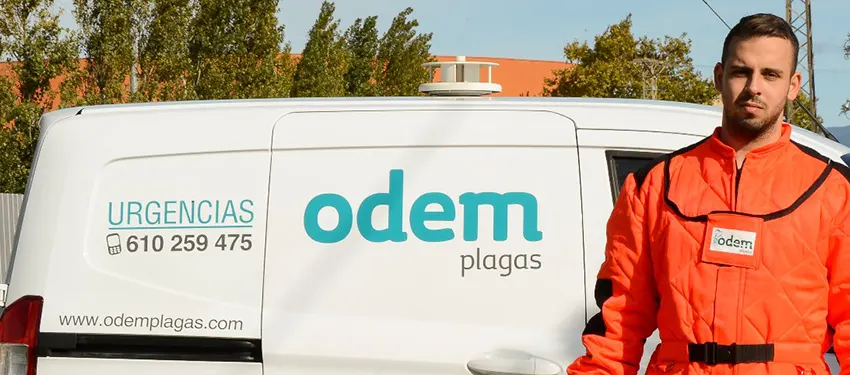 Servicio de control de plagas en Barcelona | ODEM Plagas