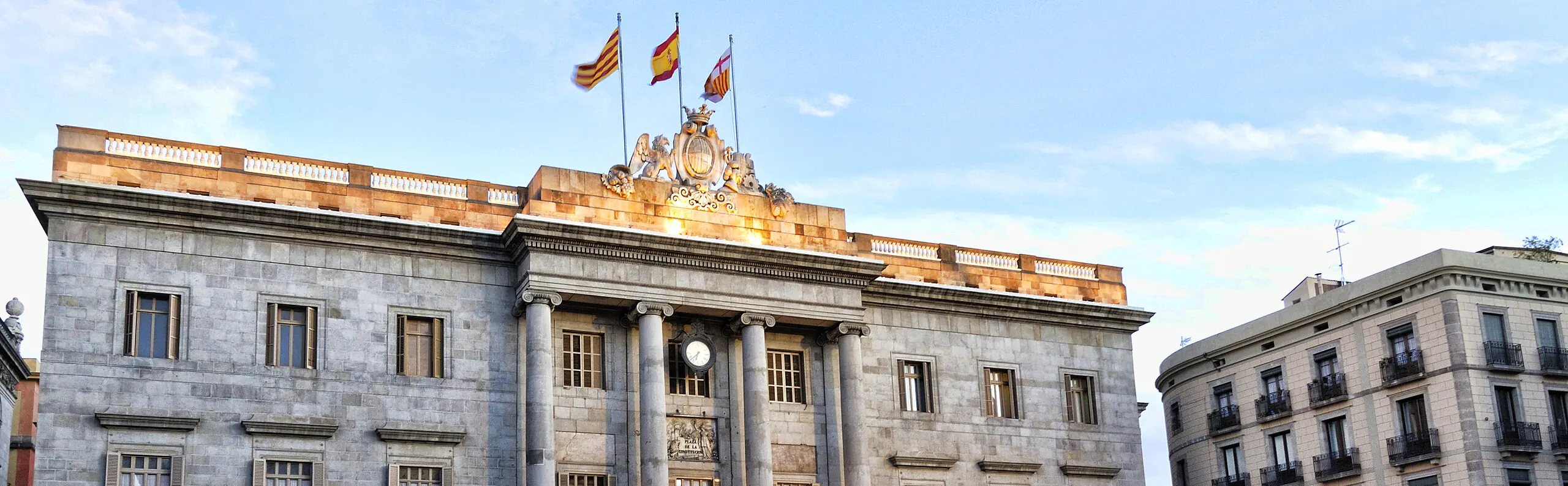 Cómo comunicar plagas al ayuntamiento de Barcelona