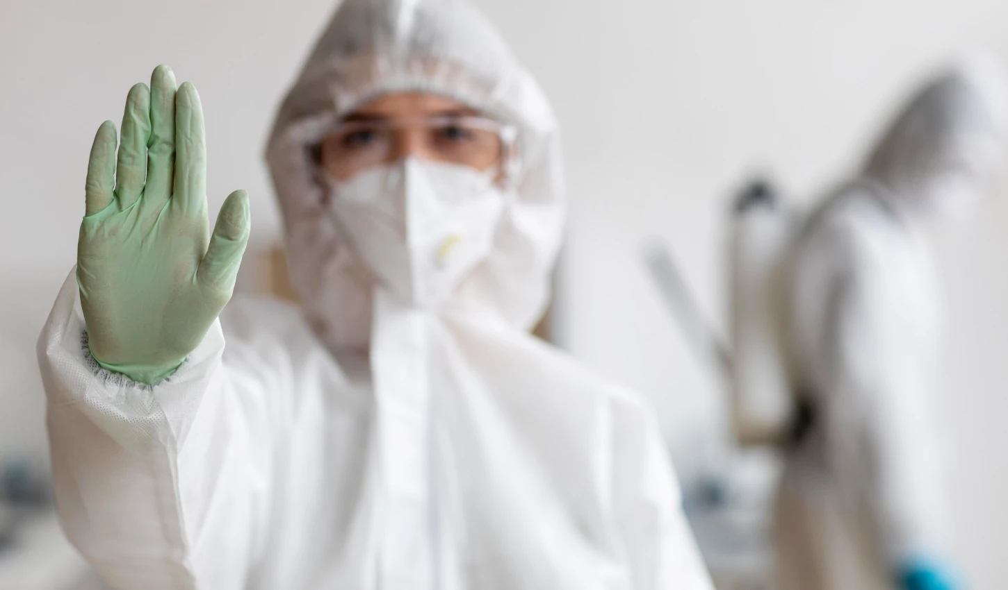 Prevención de plagas mejor en invierno – Odem Plagas