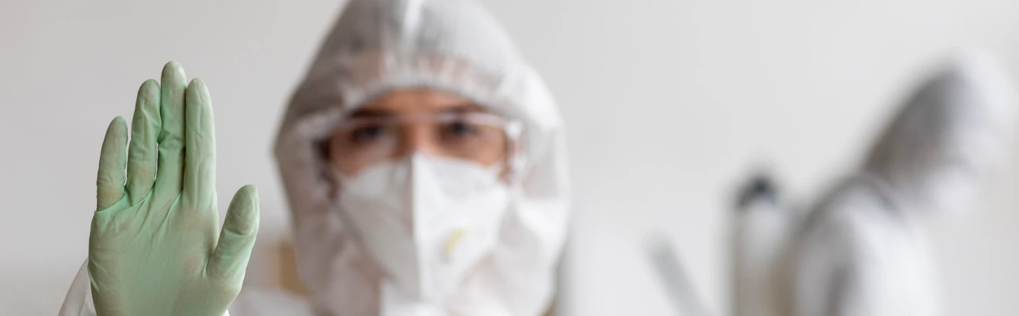 Prevención de plagas mejor en invierno – Odem Plagas Prevención de plagas mejor en invierno – Odem Plagas